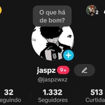 CONTA TIKTOK DE 2023 🌟 1000 SEGUIDORES BR 🇧🇷 PROMOVER+SITE+LIVES+TROCA NOME ✅