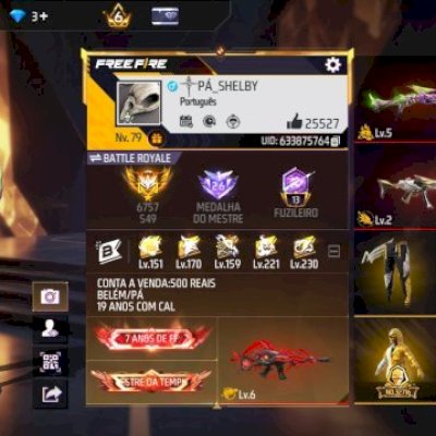 conta gemada 600 peitorais nível 79 têm angelical azul amarela branca e roxa