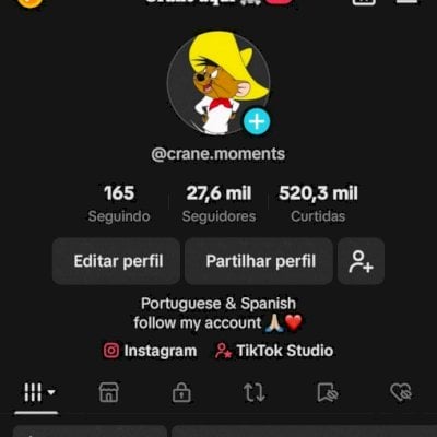 CONTA TIKTOK +27,6K SEGUIDORES REAIS - PRONTA PRA MONETIZAR!