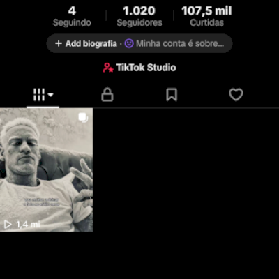 Conta com + de 1000 seguidores. VEJA A DESCRIÇÃO