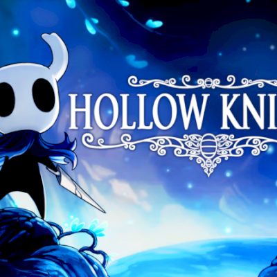 Hollow Knight (steam offline)