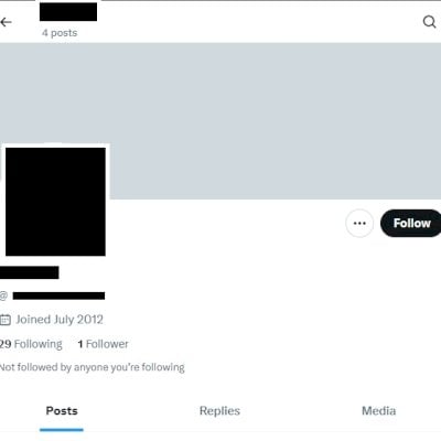 Twitter 2012 + Conta feminina + Foto de perfil e acesso ao email