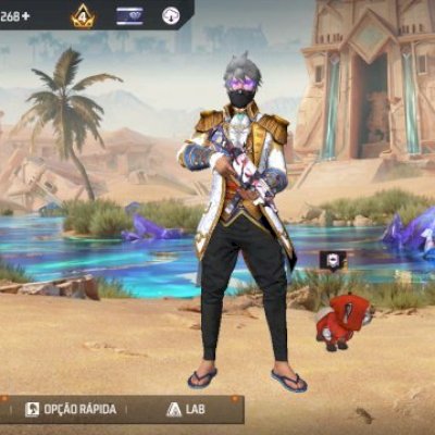 CONTA DE FF MEDIANA!!!