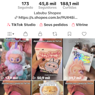 Conta Tiktok 45k