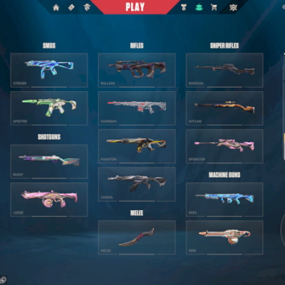 Conta Valorant Champions 2024 + Várias Vandals Premium | Todos os Agentes