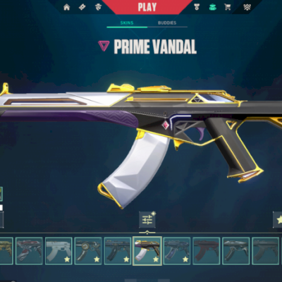 CONTA DE VALORANT ( R$ 2500,00 GASTOS )