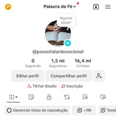 Perfil Tiktok Com Mais de 1.5 milhões de seguidores | Não Monetiza