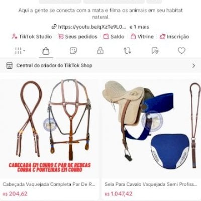 Conta com nicho ativo, 27.900 seguidores