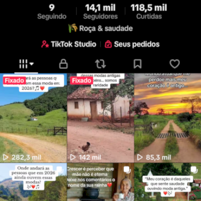 Vendo uma conta nova bem engajada com 14,1mil seguidores de nostalgia