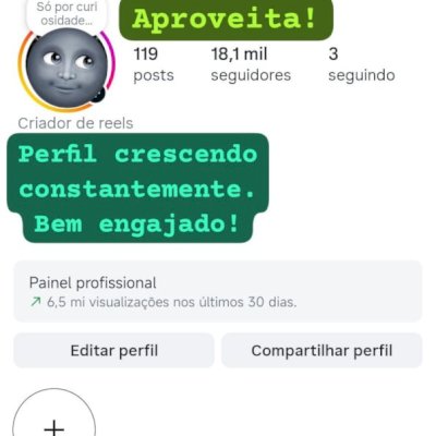 Conta Instagram 19k (orgânico). Todos seguidores reais. Perfil engajado.