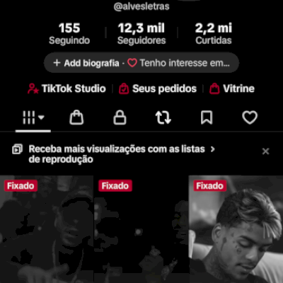 conta tiktok, 12,3 k de seguidor e 2 milhões de curtida