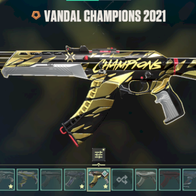 Vendo conta com Champions 2021