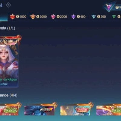 Todos os campeões. 211 skins, 1 legend