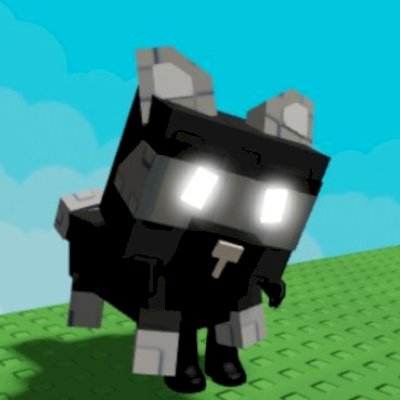 RACCON INVERTIDO🦝✨️