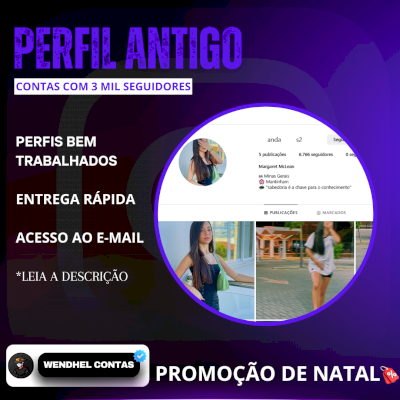🎄PROMOÇÃO DE NATAL🎄 PERFIS TRABALHADOS COM 3 MIL SEGUIDORES POR APENAS R$25,00