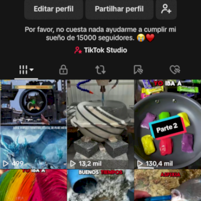 TikTok 12 Mil seguidores