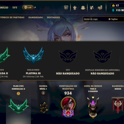 Conta LoL - Nível 1006, Todos os Campeões, 377 Skins (Raras e Exclusivas)