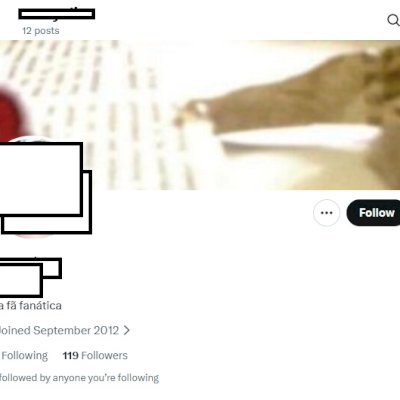 Twitter 2012 +100 fol Conta feminina + Foto de perfil e acesso ao email