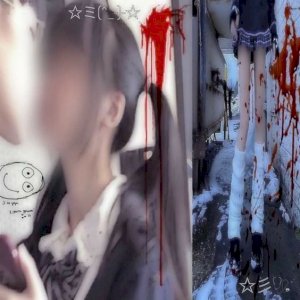 GABRIEL HENRIQUE GRISMINO ALEXANDRE