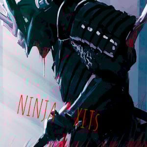 NINJAXITS