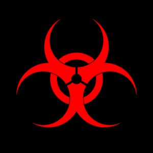 DIEGO SANTOS DA SILVA