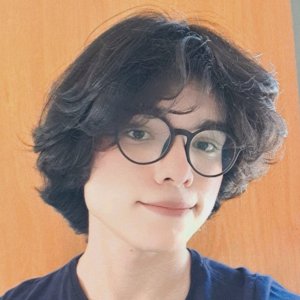 Pedro Henrique Pimenta