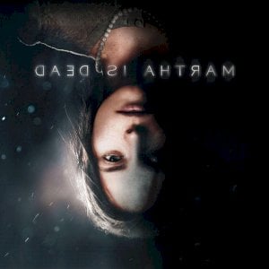 Leonardo Augusto Rodrigues Azevedo