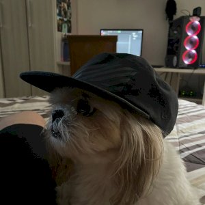 RAFAEL AUGUSTO DECIJIM SANTANA MARTINEZ