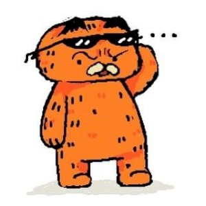 Fábio Rafael Onofre