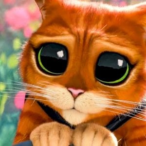 Lorenzo sales de Oliveira