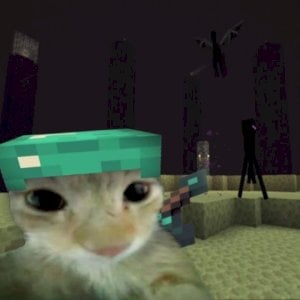 Allanwq