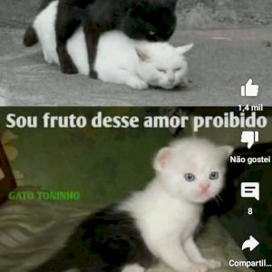 ANTONIA ELIANE DE SOUZA