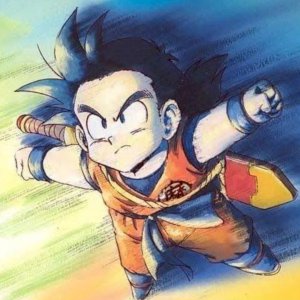 Gohan Teen
