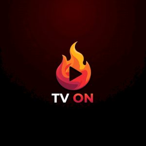 Marcos Vinícius Mesquita Gontijo