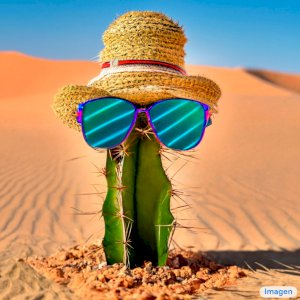 DELIO RAMOS REICHERT NETO