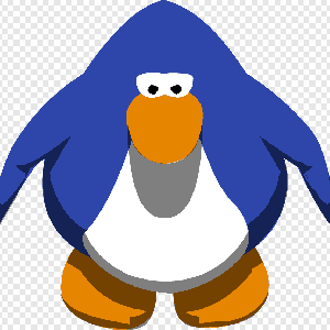 Freenchzera