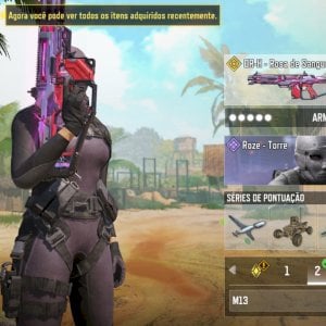 Pedro Henrique Brito Lima