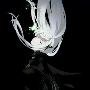 herbert rodrigues da  silva