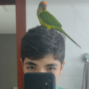 Matutu